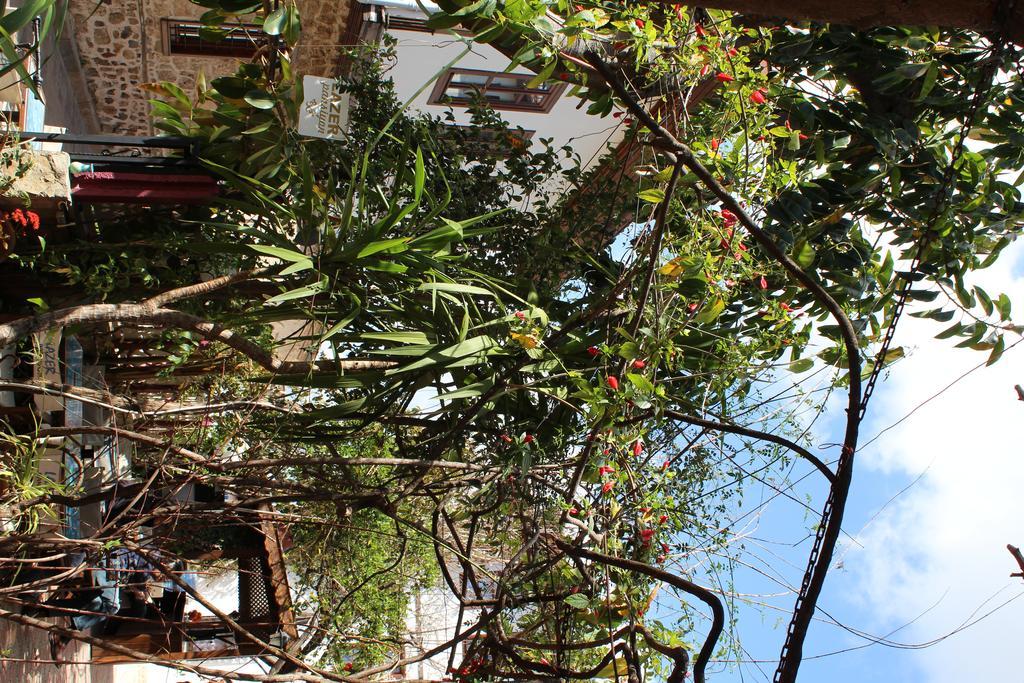 Lazer Pension Antalya Ngoại thất bức ảnh