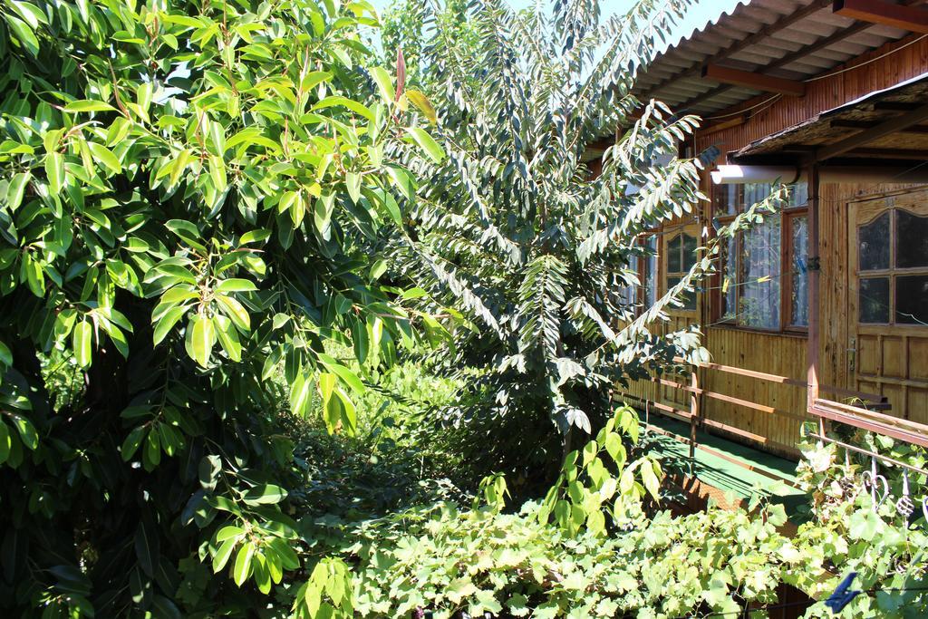 Lazer Pension Antalya Ngoại thất bức ảnh